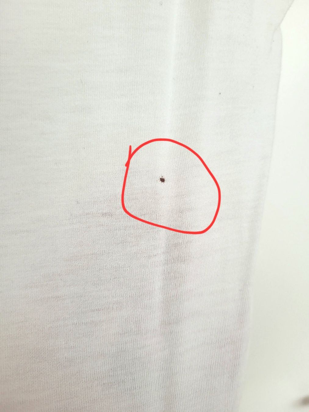 Blusen: Blusenshirt – Gebraucht aus Bolligen von mo.strubelimutz.63 2