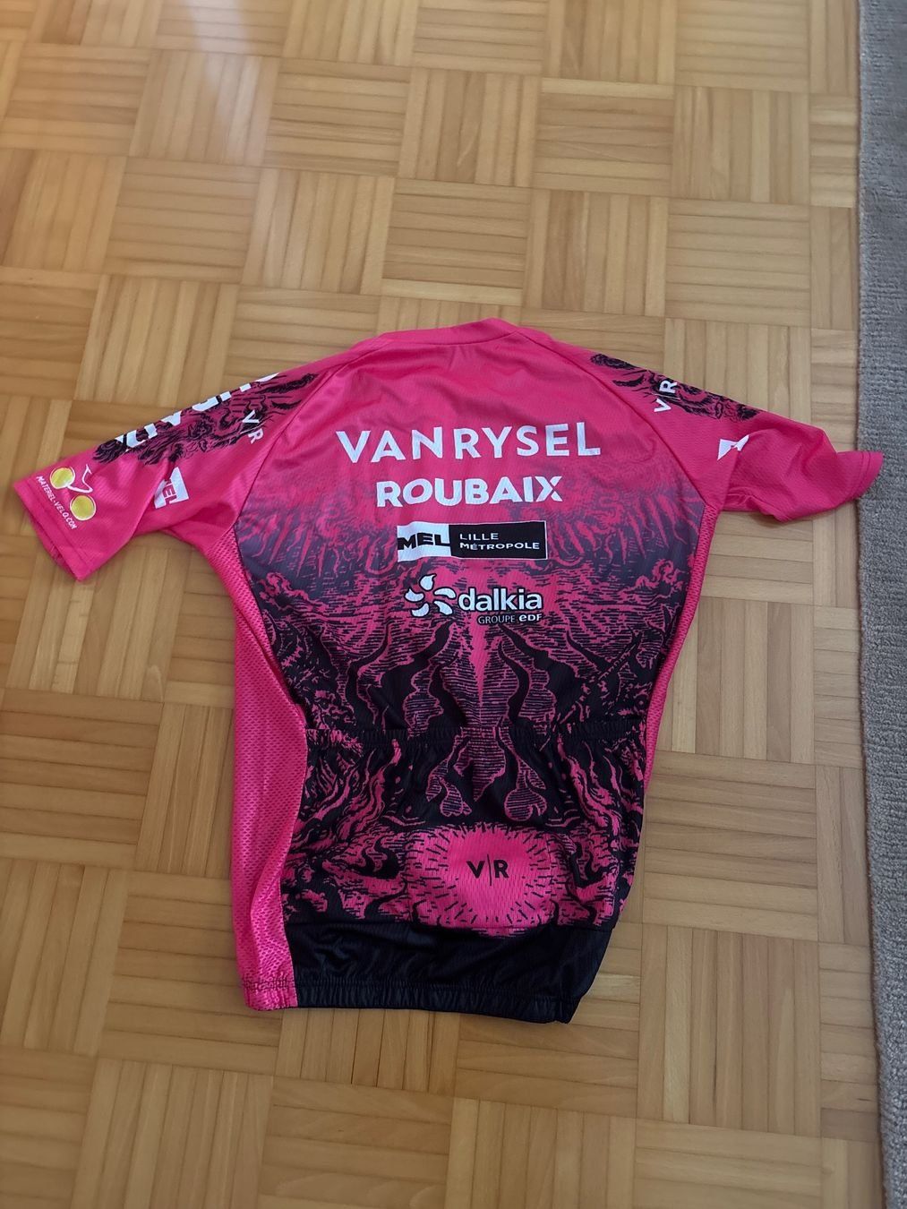 Canottiere & Pantaloni: Radtrikot Yan Rysel Grösse L – Nuovo e nell'imballaggio originale da Montlingen venduto da RL03 1