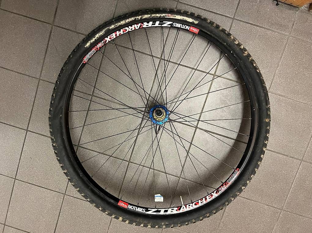 Pneumatici & Ruote complete: Stans NoTubes  ZTR Arch EX 29" – Usato da Versoix venduto da sad_2cl8 2