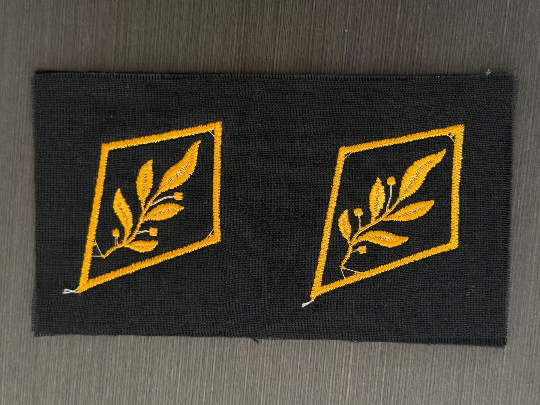 Schweizer Armee Placchette & Badge: Kragenpatten Höherer Stabsoffizier der Schweizer Armee – Nuovo (secondo la descrizione) da Brütten venduto da Hst1 1