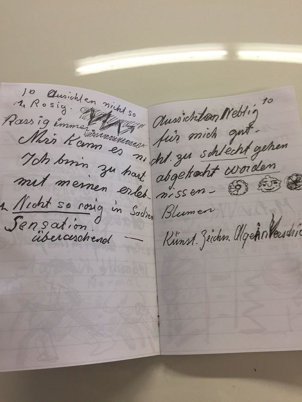 Bücher: Hans Krüsi Tagebüchlein Faksimile – Gebraucht aus Frasnacht von Kulturpalast 6