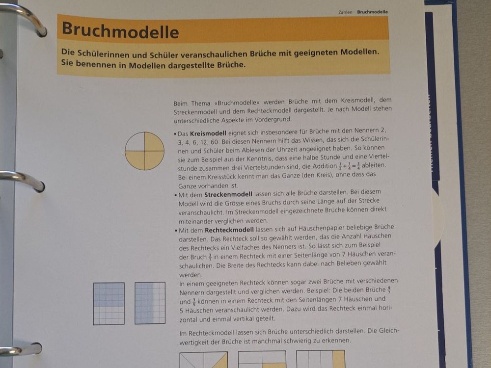 Mathematik Primarstufe 5 - Handbuch Lmvz | Kaufen Auf Ricardo