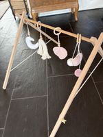 Baby gym