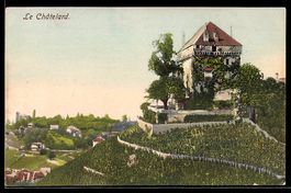 AK Le Châtelard, Château et vignoble
