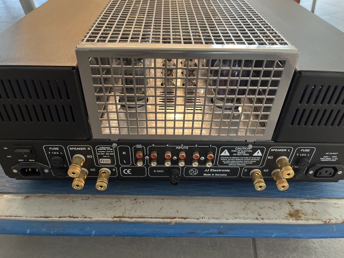 Amplificatori: JJ 828 Röhrenverstärker – Usato da Beinwil am See venduto da drenirb 2