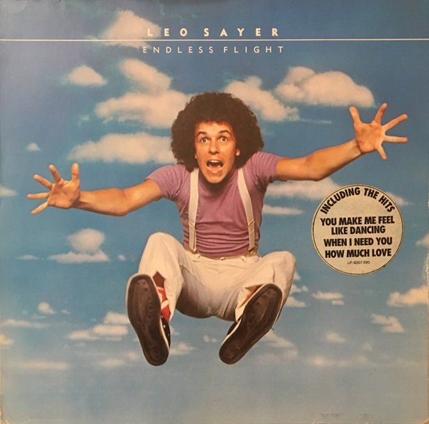 Dischi in vinile: Leo Sayer – Endless Flight (LP) – Usato da Grüningen venduto da azulgrisvinyl