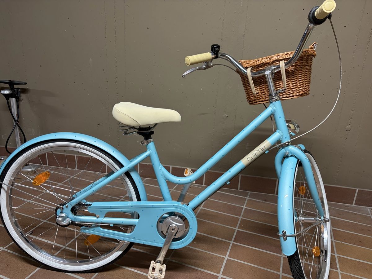 Velos: Damenrad hellblau mit Korb wie Neu – Neu (gemäss Beschreibung) aus Meilen von tho_s6pv 2