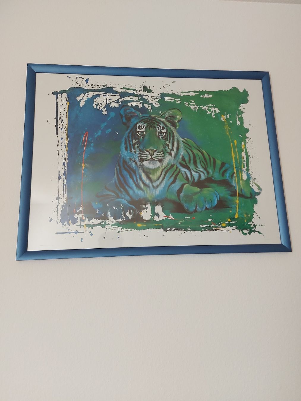 Foto & Immagini: schönes Tigerbild – Usato da Mönchaltorf venduto da Chriga80 1