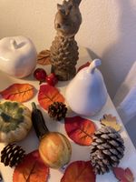 Herbst-Deko-Set