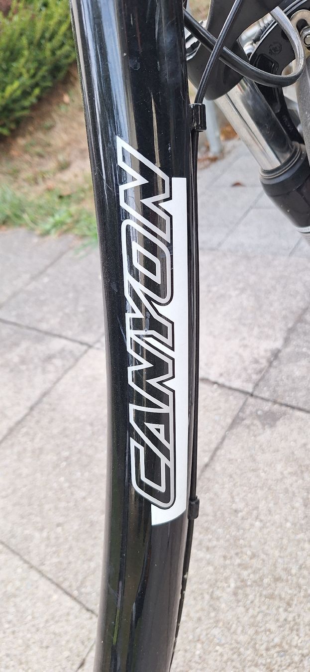 Giant Velos: GIANT City-/Trekkingvelo – Gebraucht aus Liebefeld von cha_b7mn 2