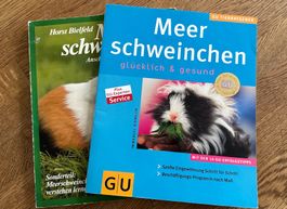 2 Ratgeber Meerschweinchen
