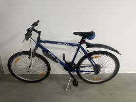 Mountainbike California – gebraucht