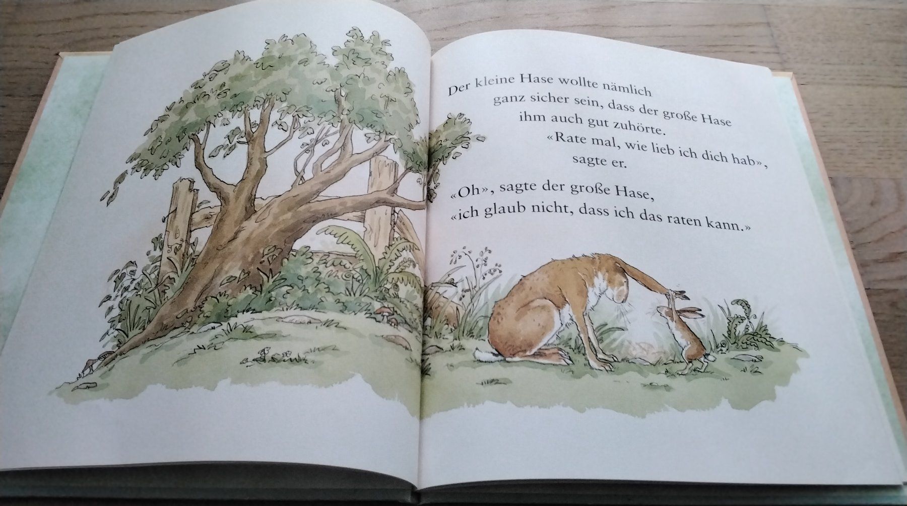 Libri: Weisst du eigentlich, wie lieb ich dich hab? – Usato da Steinhausen venduto da pinu09 3