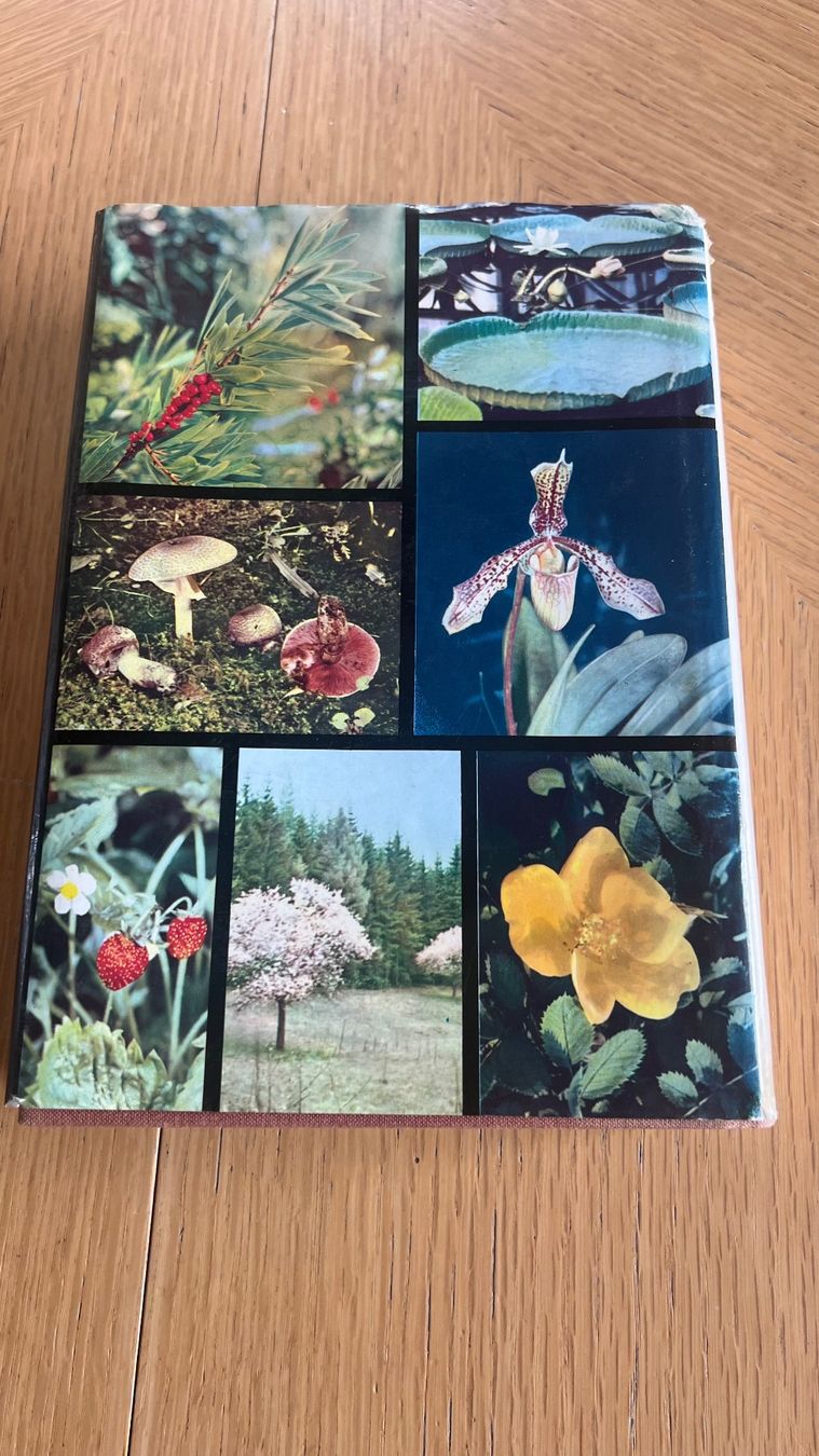 Libri: Das grosse Bilderlexikon der Pflanzen -1964 – Usato da Schübelbach venduto da Dolly990_2 1