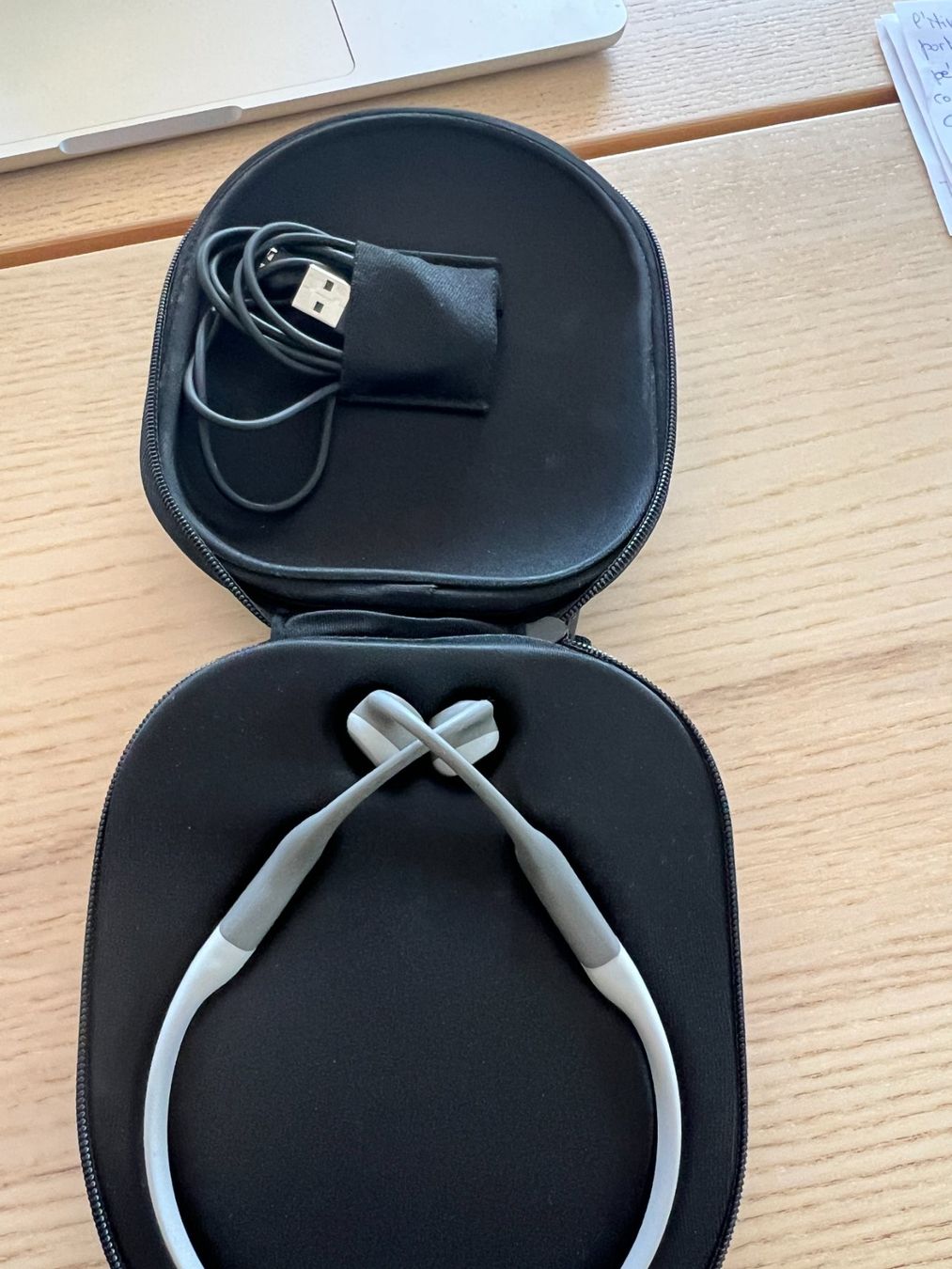 Shokz Cuffie: SCHOKZ Open Run gris – Nuovo (secondo la descrizione) da Epalinges venduto da kittyhermes