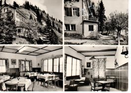 Hotel Rigi Unterstetten