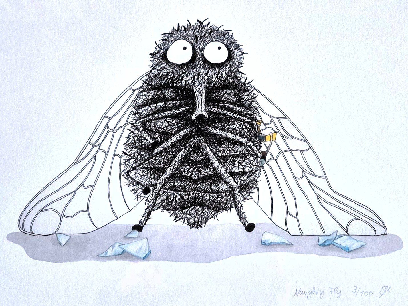 Grafica & Litografie: Naughty Fly - Lithographie – Usato da zürich venduto da kulturgrab
