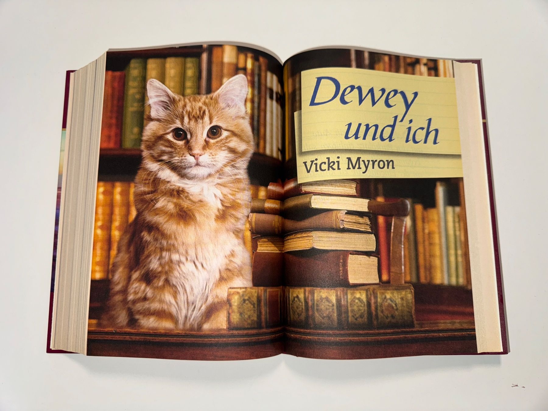 Livres: Readers Digest Bücherauswahl – D'occasion à Grosswangen par Second_hand_paradise 5