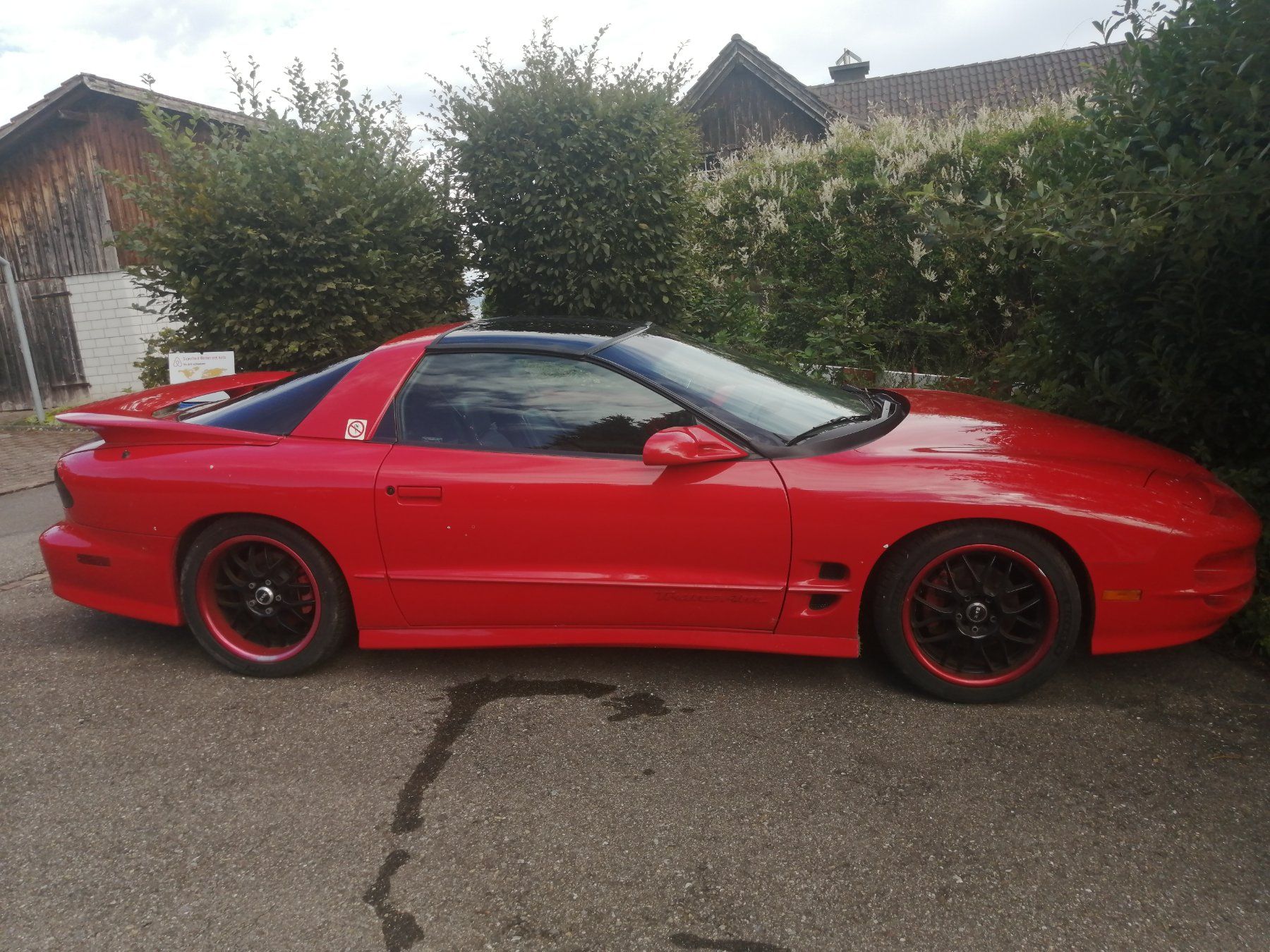 Pontiac Automobili: Pontiac Firebird Trans Am 1998 – Usato da Kaltbrunn venduto da flexvertebra 7