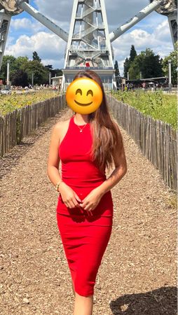 Zara Kleid/Dress