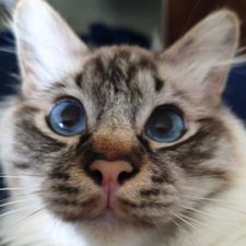 Profile image of leo_lpn5