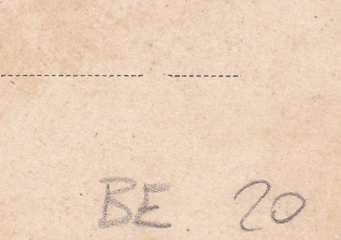 Cartoline postali: Gruss aus Meiringen 1901 – Usato da Cormoret venduto da Pascalll2001 6