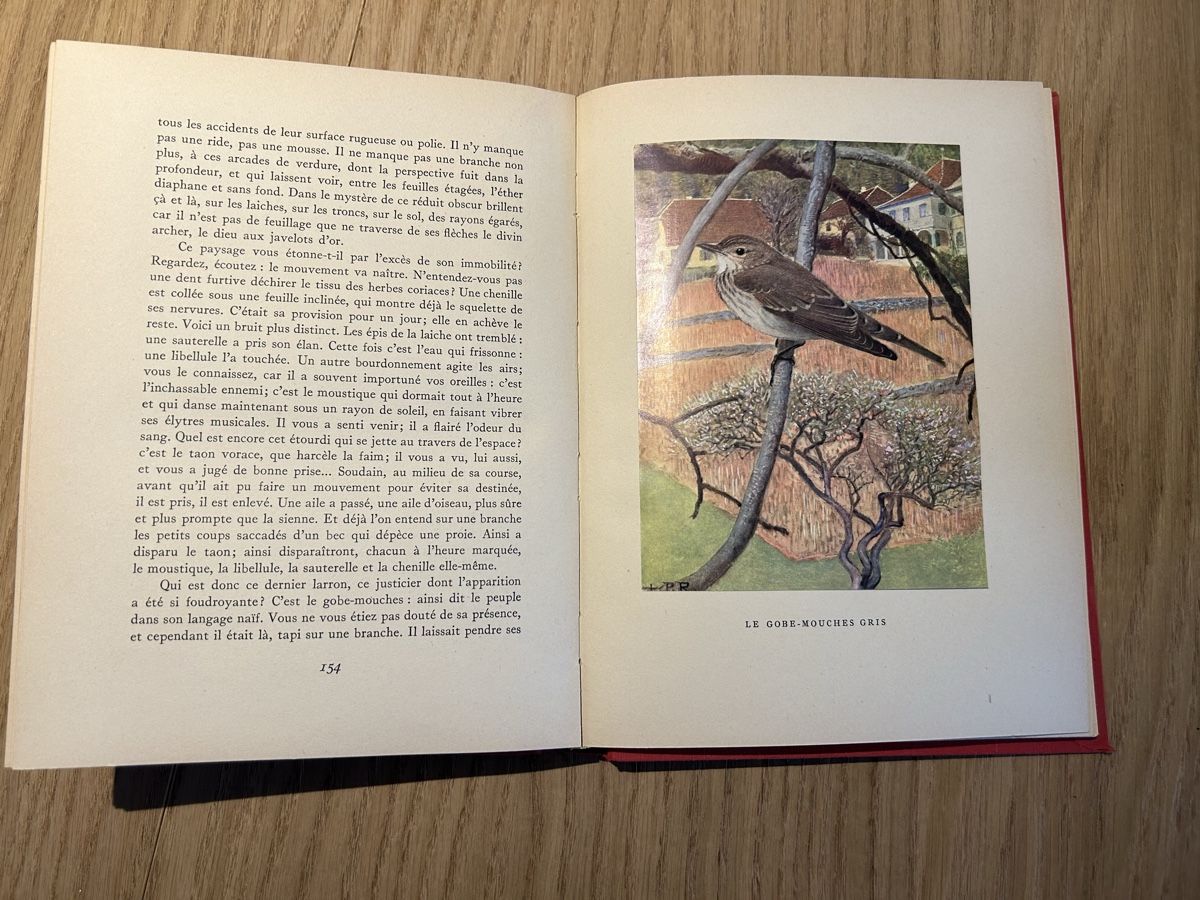 Libri: Nos oiseaux Rambert Robert 1951 illustré couleur – Usato da Lausanne venduto da TelmaLouise70 4