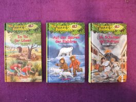 Das magische Baumhaus 3er Bücher Set