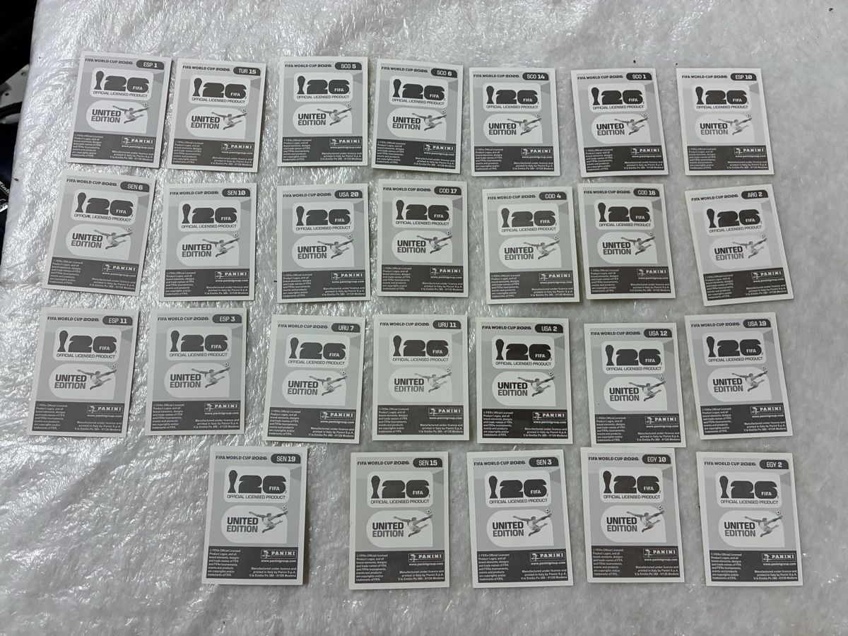 Panini Carte collezionabili: Panini WM 2024 Sammelbilder – Usato da Emmen venduto da paesu6 3