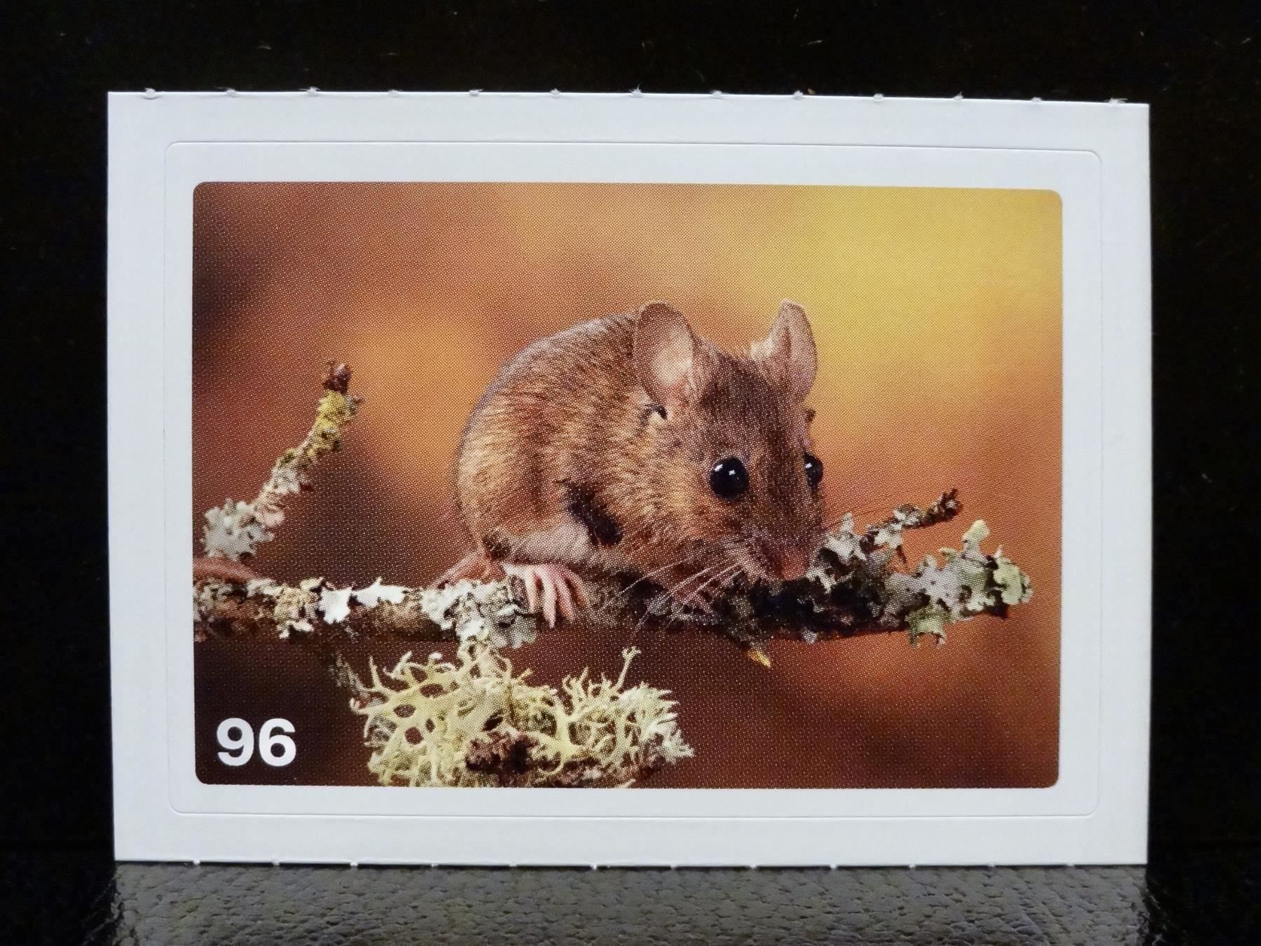 Migros Carte collezionabili: MIGROS MANIA Nature Detectives Nr. 96 – Usato da Kerzers venduto da zimmergruen