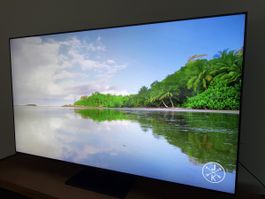 Samsung Q80T QLED TV (65”, 2020)