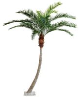 Künstliche Phönix Palme HARPER,  330cm