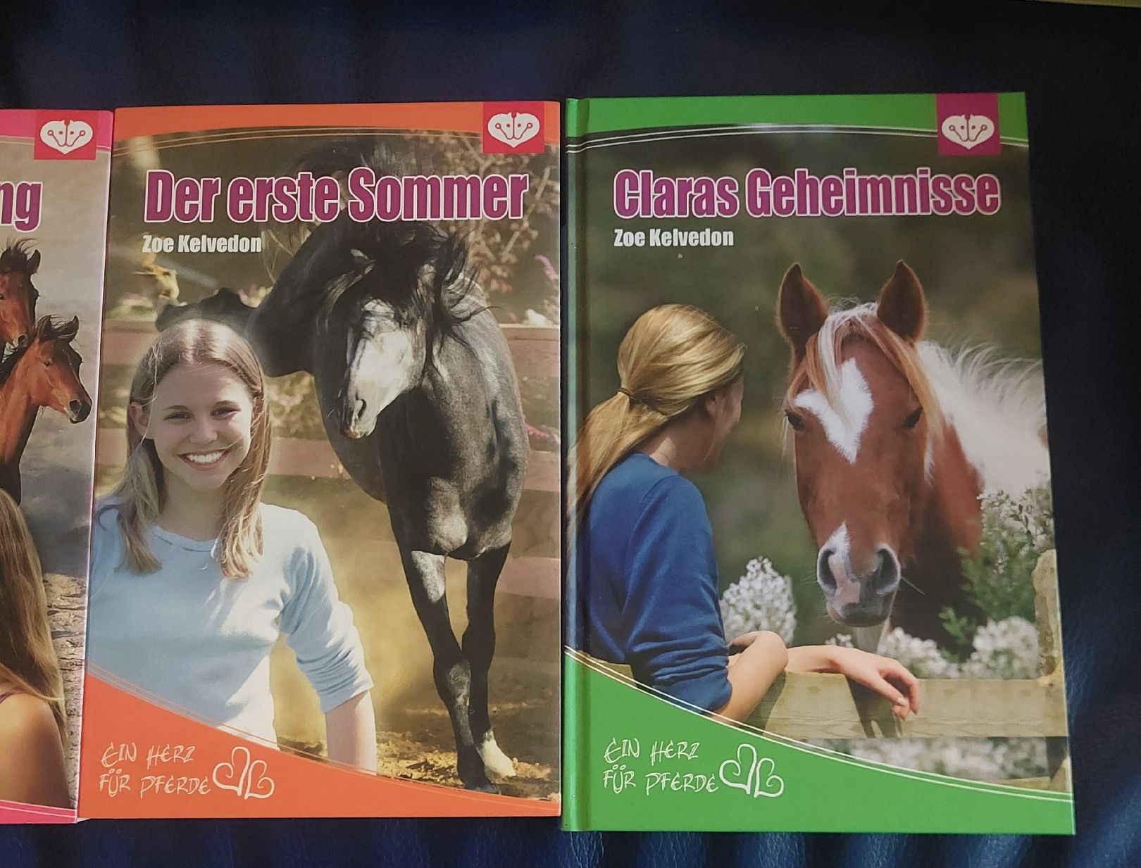 Bücher: Bücher Pferde Zoe Kelvedon  – Gebraucht aus Belp von masterdriftking 2