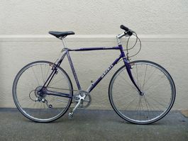 Velo / Fahrrad / Citybike / Mondia Liberty