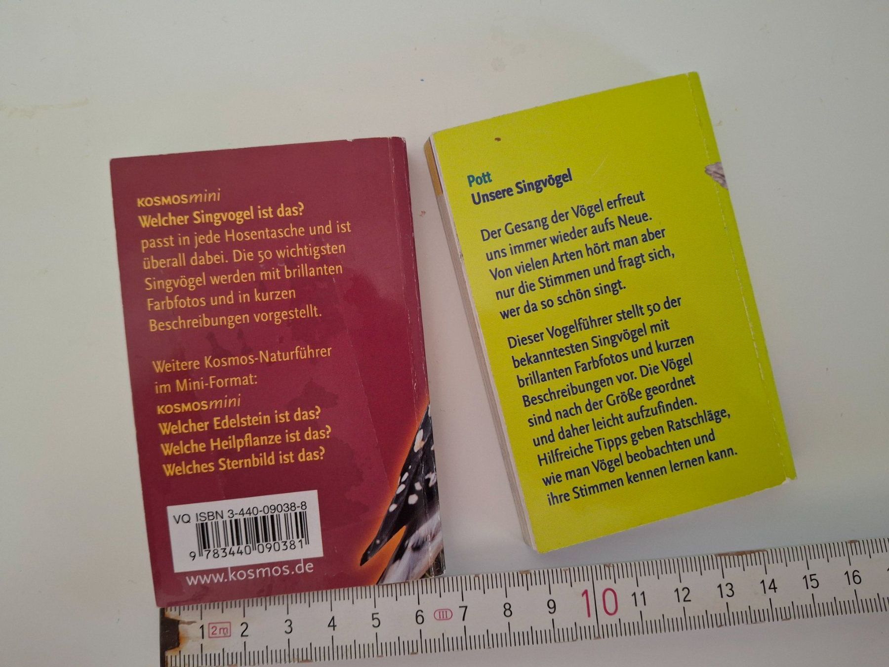 Libri: Kosmos Singvögel Feldführer: 2 Büchlein – Usato da Walterswil SO venduto da mel_5b2h 1