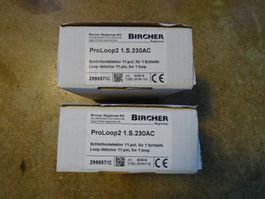 2 Schleifendetektoren Bircher ProLoop2