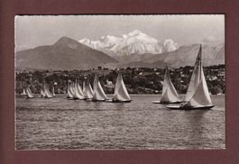 Regates au LAC LEMAN