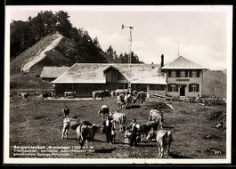 AK Wattwil, Bergwirtschaft Kreuzegg, Bes. J. Manser