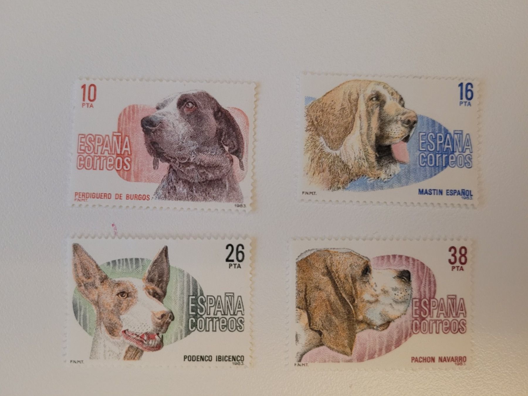Tutti i francobolli: Spanien 1983 spanische Rassenhunde – Usato da Inwil venduto da Flower2325