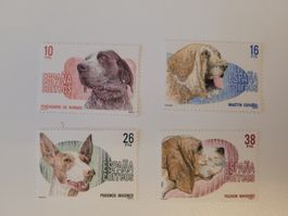 Spanien 1983 spanische Rassenhunde