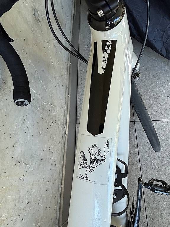 Specialized Vélos: Rennvelo Specialized Diverge – D'occasion à Lyss par bongiorno01
