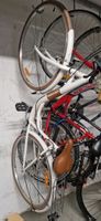 Citybike Damen