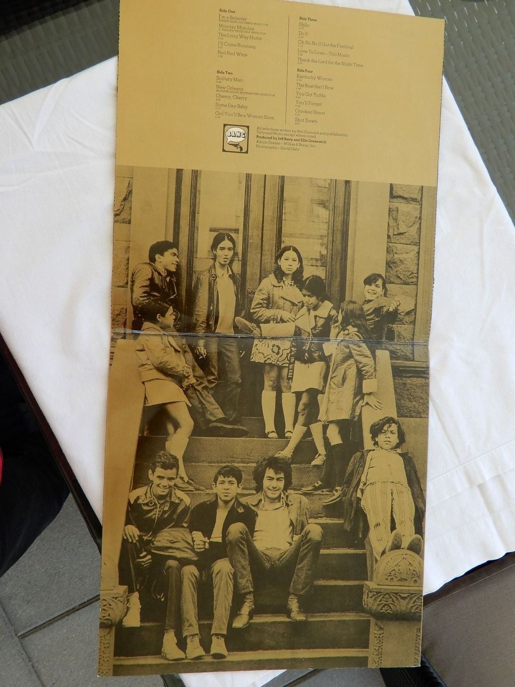 Dischi in vinile: Doppel Schallplatte NEIL DIAMOND (1973) – Usato da Obergösgen venduto da asc_72pf 2