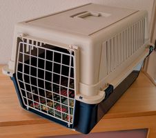 Tier-Transportbox mit Kissen.Innenmasse:50x30x30cm,ab Fr. 1-