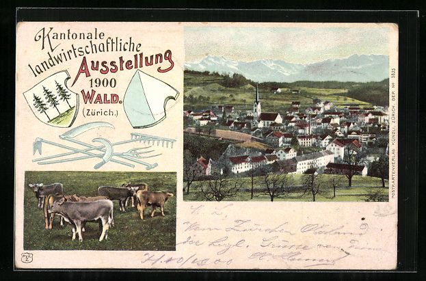 Cartoline postali: Wald, Kantonale Landwirtschaftliche Auss – Usato da Berlin venduto da bartko-reher