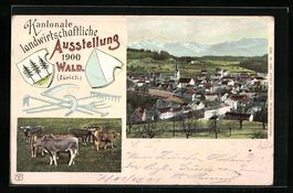 Wald, Kantonale Landwirtschaftliche Auss