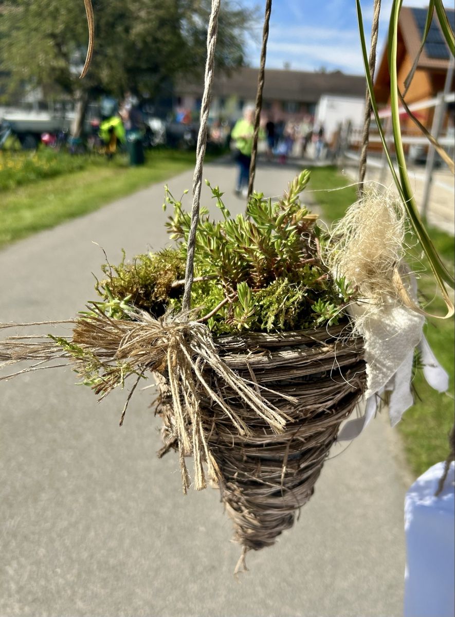 Vasi per fiori: Lianenübertopf – Nuovo (secondo la descrizione) da Frauenfeld venduto da Irene.Schuppli