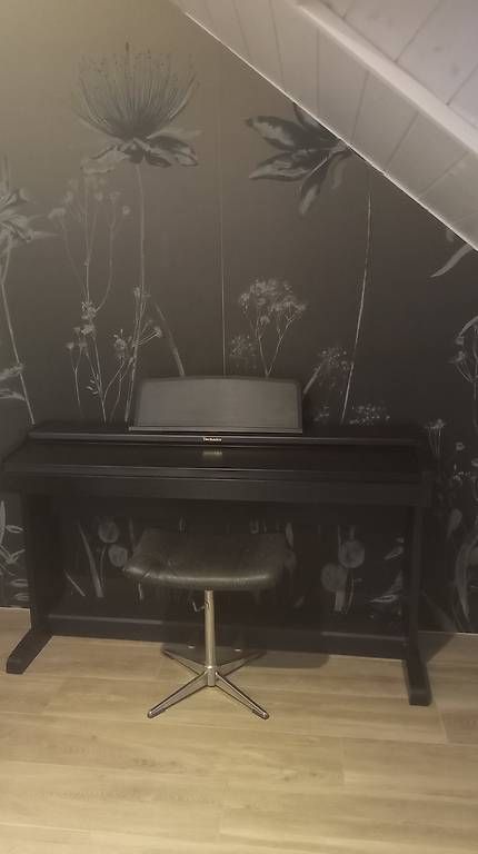 Strumenti musicali: Piano numérique Technics – Usato da Cugy FR venduto da nat_bb8v