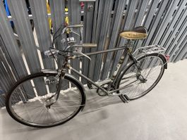 Retto Velo „Alpa"