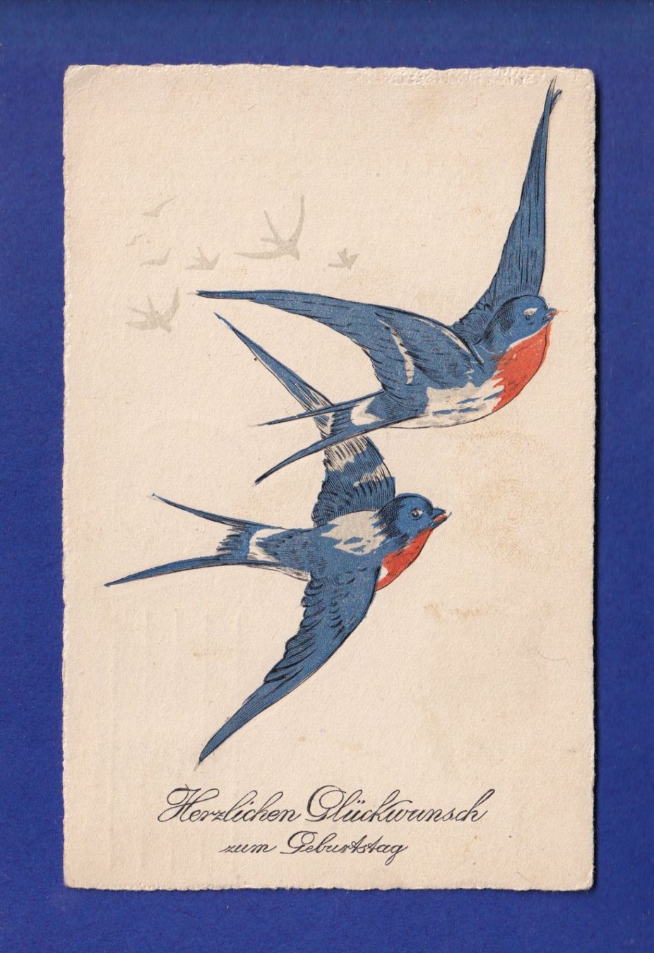 Ansichtskarten: OISEAU - Hirondelles – Gebraucht aus Pully von nicecards-shop